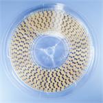 AVX TAJD107K020RNJ
